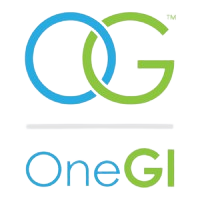 OneGi